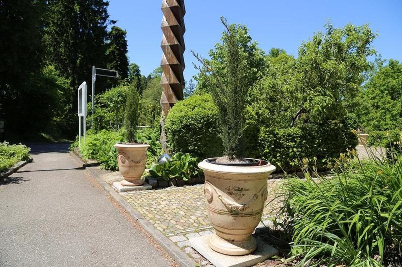 Villa Hedwig Badenweiler Kültér fotó