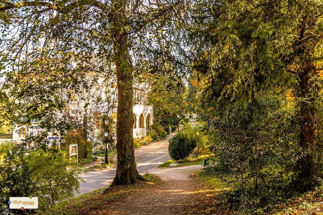 Villa Hedwig Badenweiler Kültér fotó
