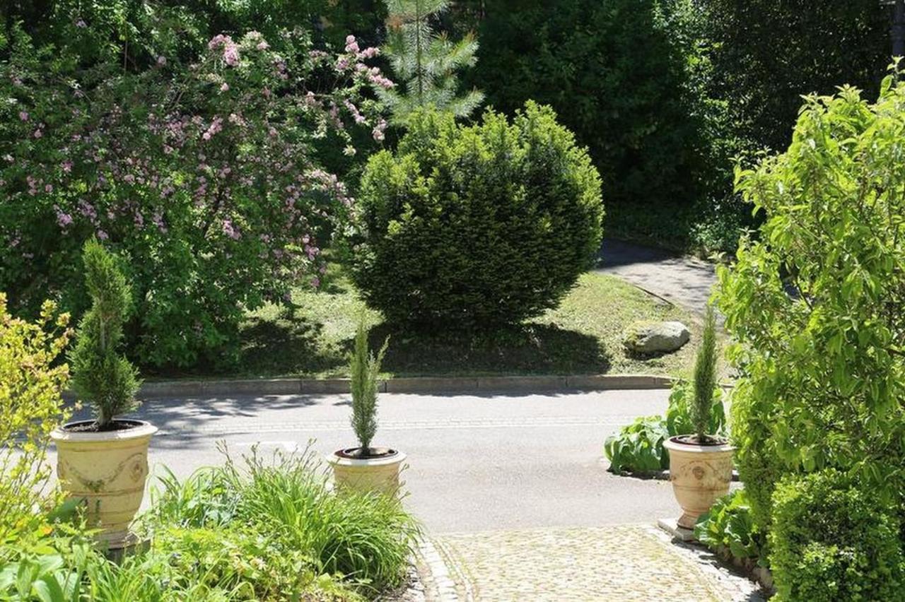 Villa Hedwig Badenweiler Kültér fotó