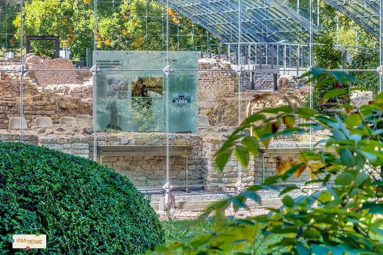 Villa Hedwig Badenweiler Kültér fotó